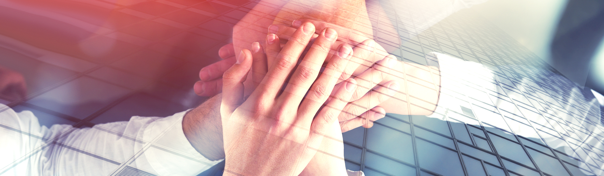 南京鑫未來生物科技有限公司